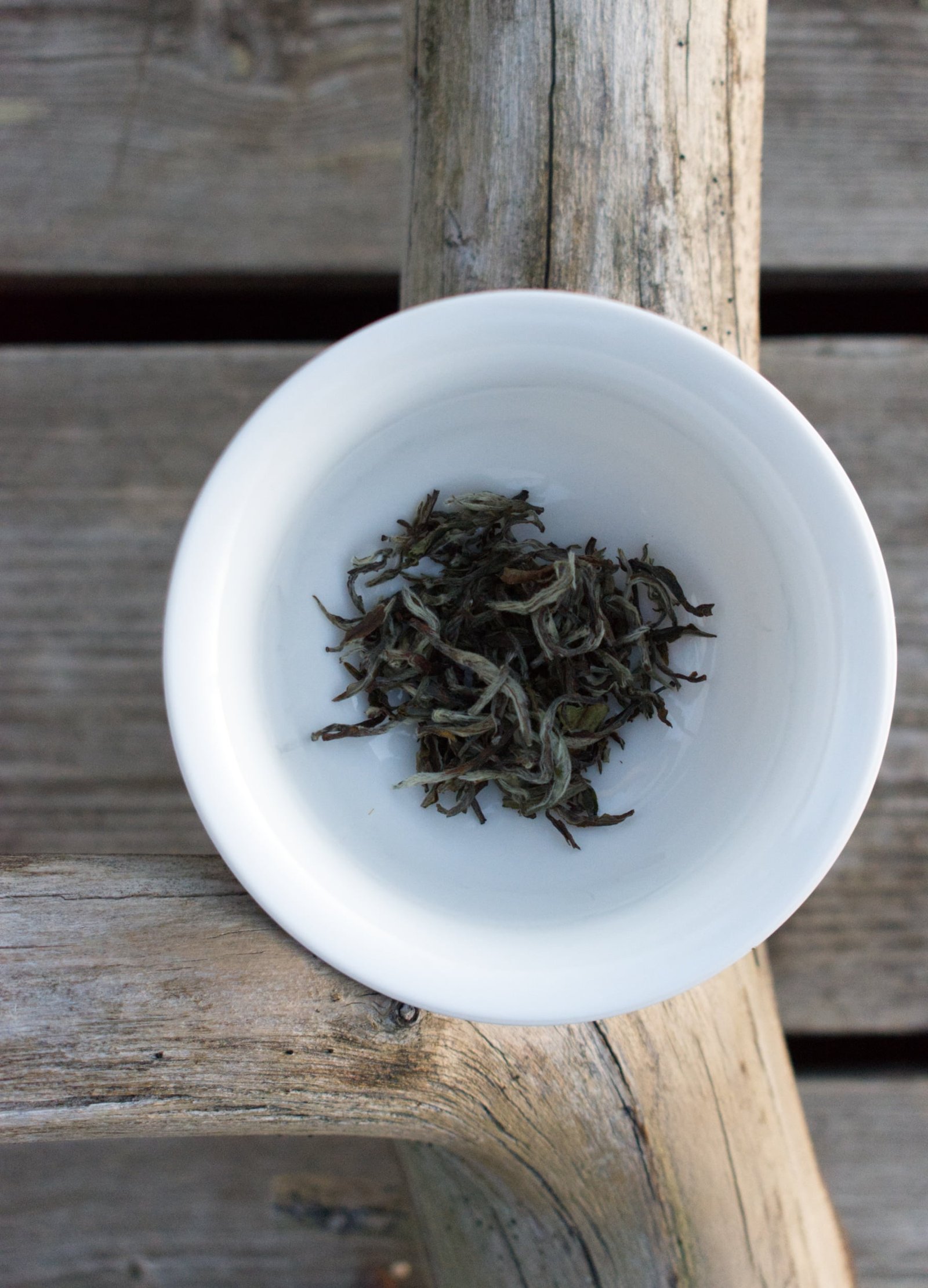 Weisstee Shangri La Nepal online kaufen True Tea