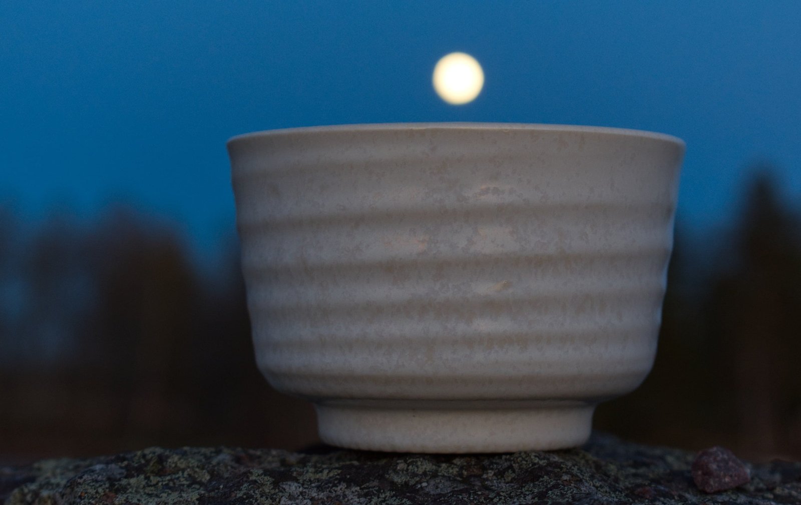 Japanese ceramic matcha bowl Akira True Tea