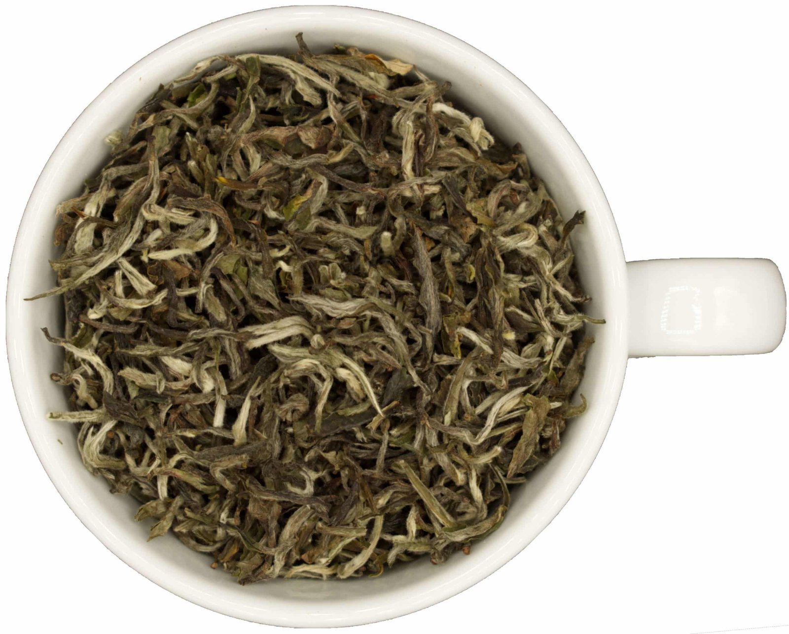 Weisser Tee Nepal SHANGRI LA True Tea 1 scaled