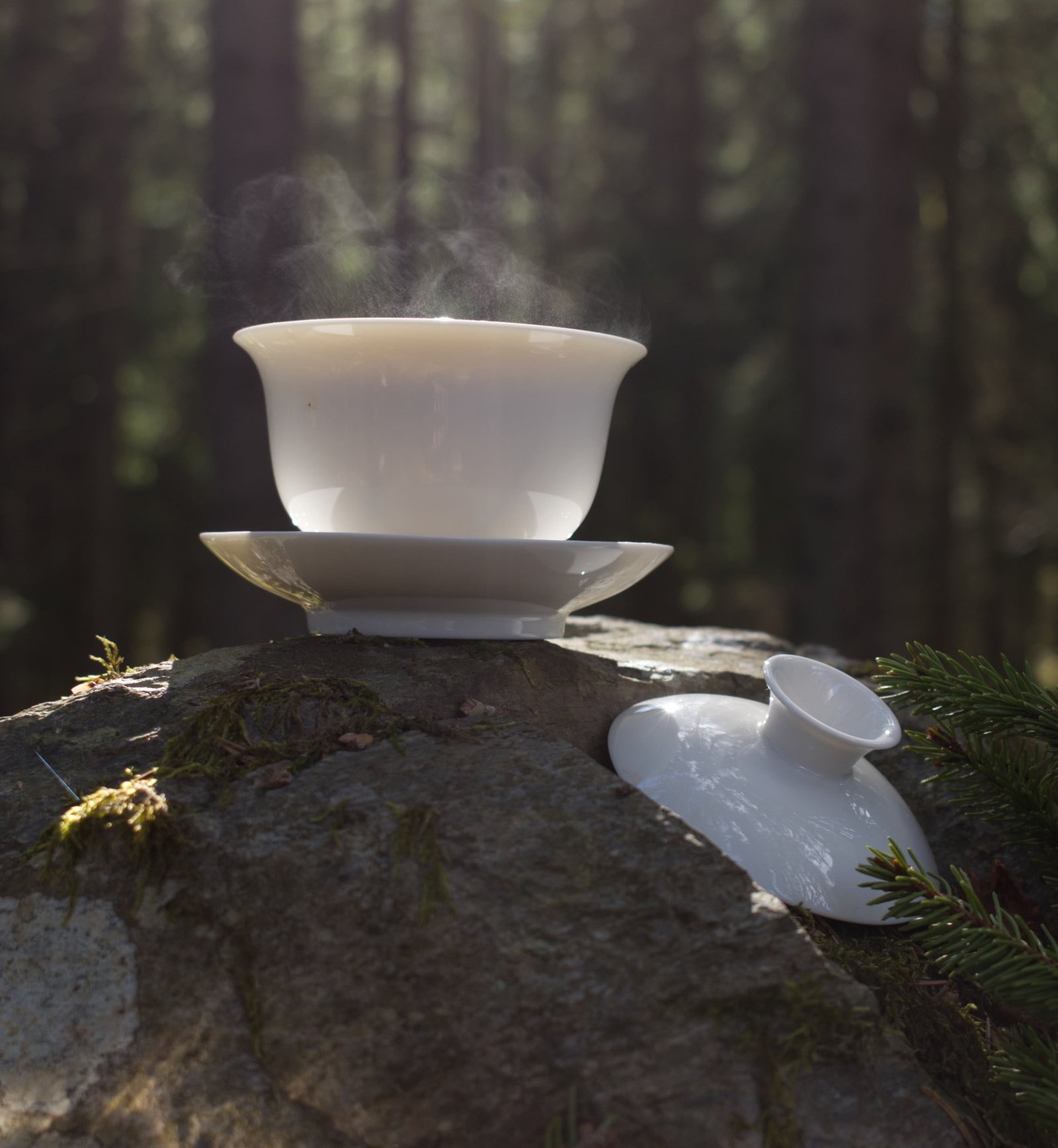 Gaiwan aus Porzellan online kaufen True Tea
