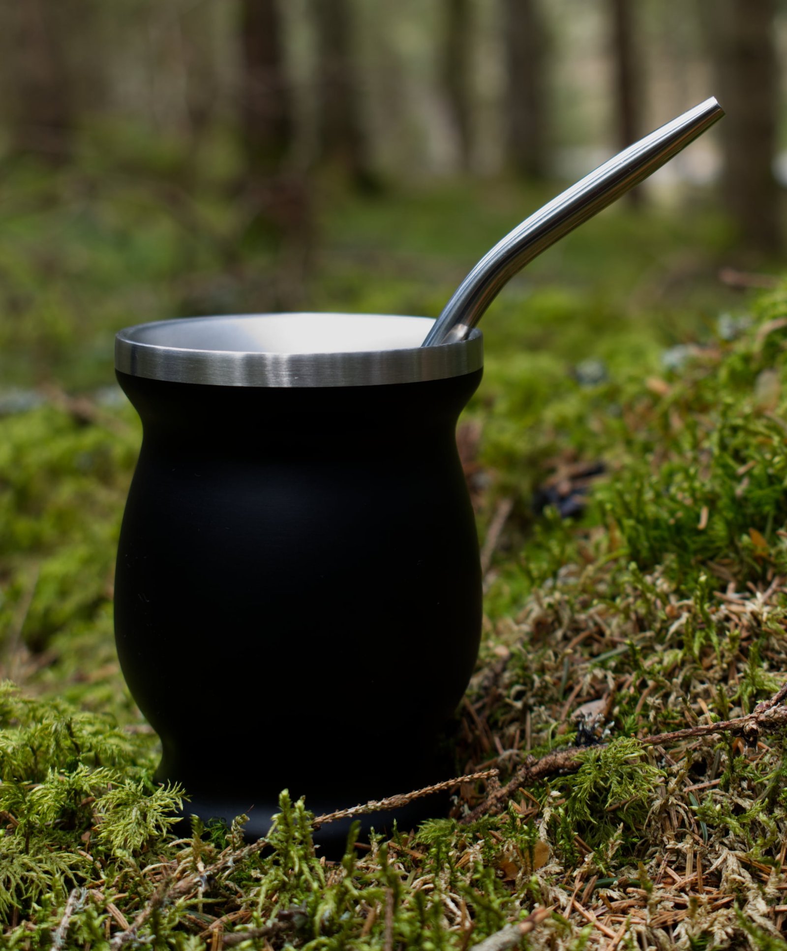 Kalebasse aus Edelstahl online kaufen True Tea