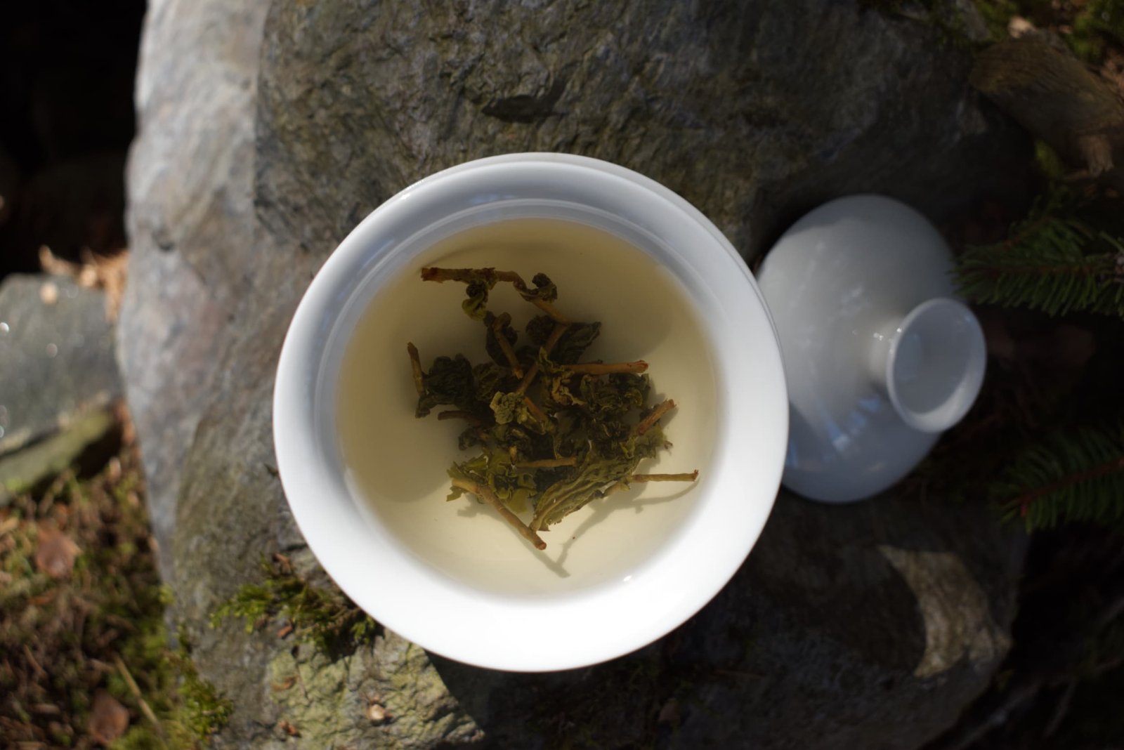 Tung Ting Oolong Tee online kaufen True Tea